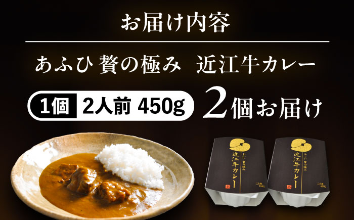 -あふひ 贅の極み- 近江牛カレー レトルト 2人前×2個セット ビーフカレー レトルトカレー 保存食 恵那市 / テンポイント [AUEU017]