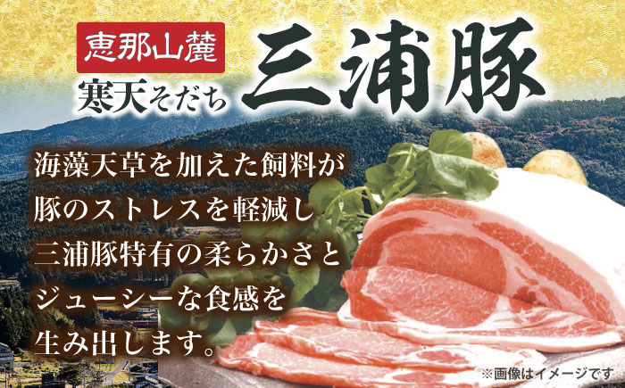 【12回定期便】 豪華 三浦豚 1.1kg 焼肉セット 肩ロース カルビ ランプ / ブランド豚 国産 ポーク 大容量 恵那市 / あづま精肉店 [AUDL020]