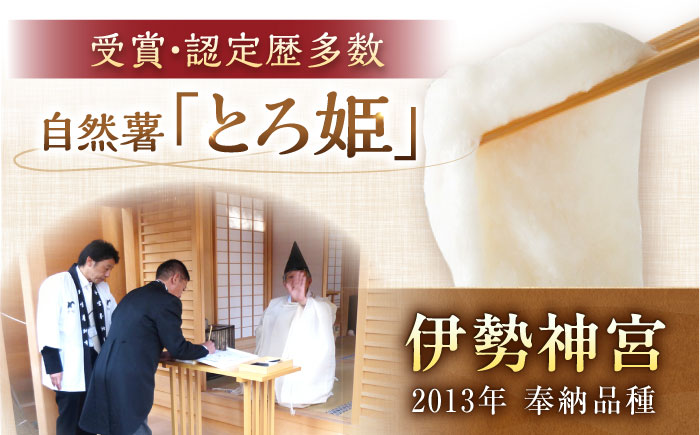 自然薯冷凍とろろ（180g×3）540g / 自然薯 とろろ 小分け / 恵那市 / 水戸屋 [AUFZ003]