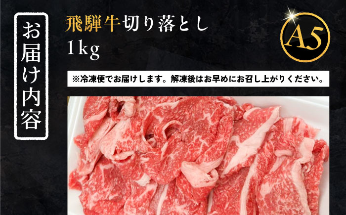 【年内発送】飛騨牛 切り落とし肉 A5ランク 1kg 和牛 国産 霜降り 恵那市 / 岩島屋 [AUAJ015]