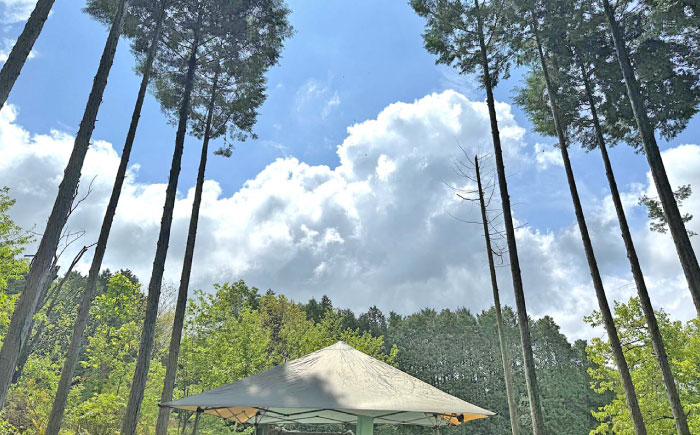 恵那蜂蜜 3本 ギフト箱入りセット (蓮華蜂蜜・百花蜂蜜・栗蜂蜜180g×各1本) 国産 はちみつ 岐阜 恵那市 / はち工房こうけつ [AUDF007]