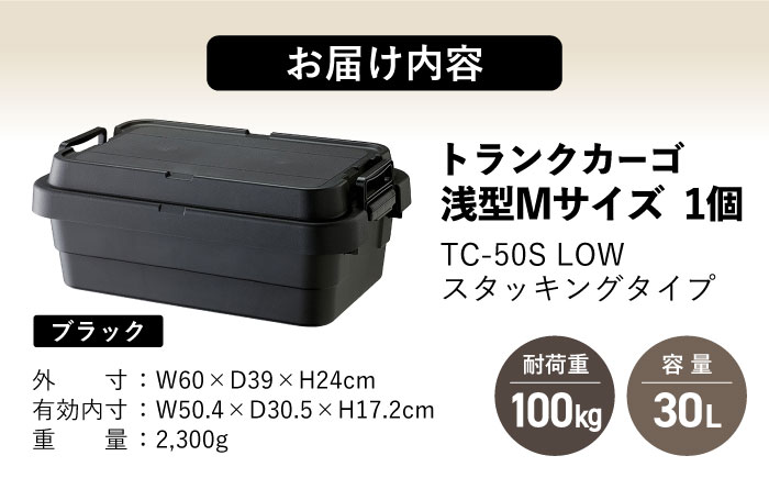 トランクカーゴ ブラック ロータイプM 1個 キャンプ ボックス 収納 アウトドア / 恵那市 / 東谷株式会社　明智流通センター [AUAD036]