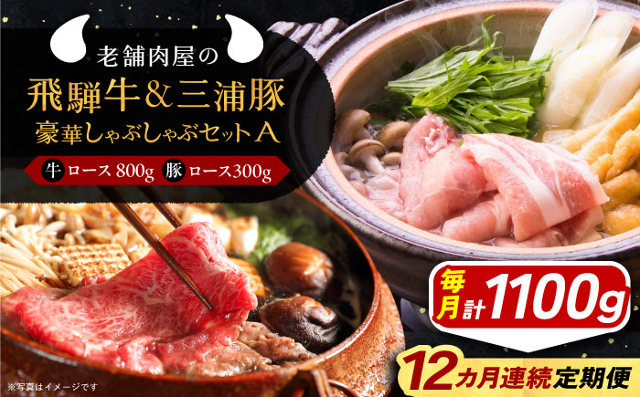 【12回定期便】 飛騨牛ロース800g 三浦豚ロース300g 豪華しゃぶしゃぶセットA 和牛 国産 霜降り 恵那市 / 岩島屋 [AUAJ047]