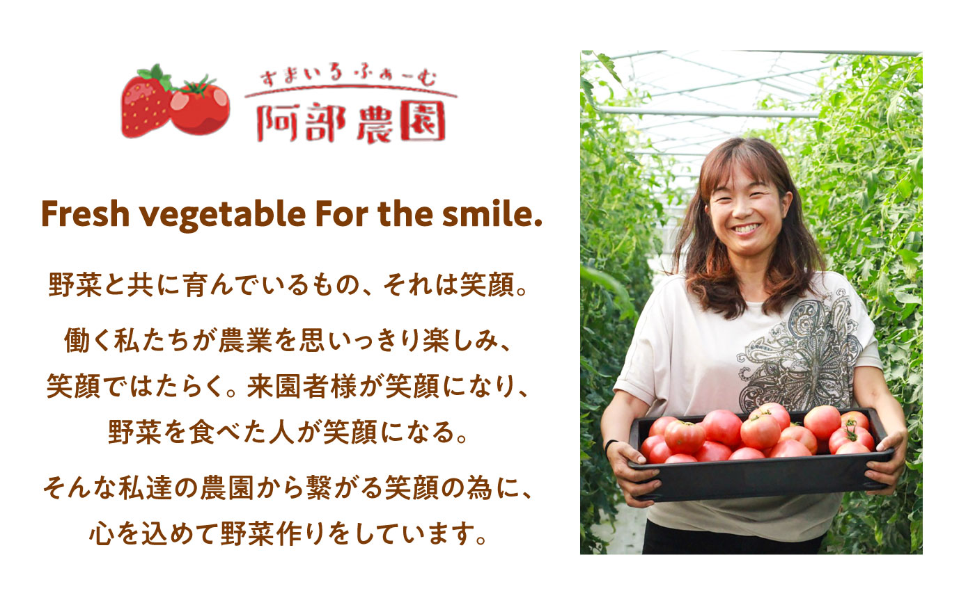 【7月上旬から順次発送】＼訳あり／ワイルド王様トマト 3.7kg / トマト とまと 箱入り 3.7キロ / 恵那市 / 阿部農園 [AUGA008]