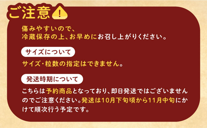 ＜10月下旬発送開始＞岐阜県産栗「東美濃ぽろたん」 2kg / 栗 くり 栗きんとん / 東美濃農業協同組合 [AUDS001]