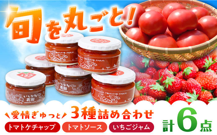 石川農園・愛情ぎゅっと詰め合わせセット / トマトケチャップ トマトソース パスタソース いちごジャム 国産 / 恵那市/クリエイティブファーマーズ [AUAH001]