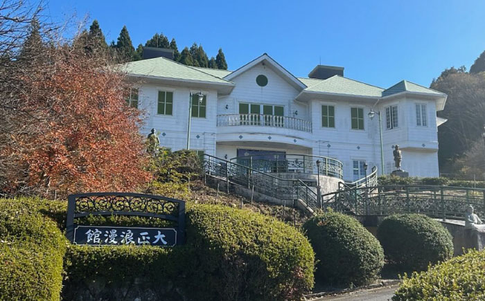 【3回定期便】岐阜県産 薪 20kg ナラ ミックス / 薪 まき マキ 薪ストーブ 20kg 乾燥 広葉樹 ナラ キャンプ きゃんぷ BBQ バーベキュー / 恵那市 / JFP日本森林計画合同会社・丸建林工株式会社 [AUFO012]