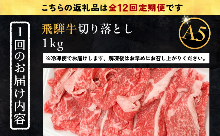 【12回定期便】 飛騨牛 切り落とし肉 A5ランク 1kg 和牛 国産 霜降り 恵那市 / 岩島屋 [AUAJ035]