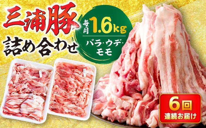 【6回定期便】 特盛三浦豚 1.6kg 豚肉セット / バラ ウデ モモ 国産 ポーク 大容量 / 恵那市 / あづま精肉店 [AUDL007]