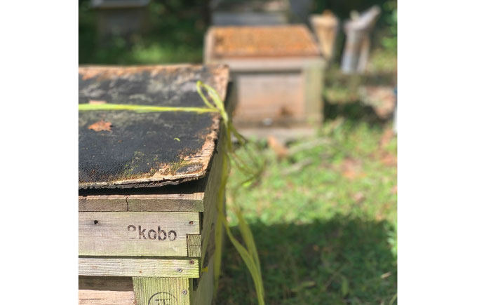 恵那 蜜蝋セット (Sランク蜜蝋450g:150g3枚) 国産 蜜蝋 ハンドメイド 恵那市 / はち工房こうけつ [AUDF022]