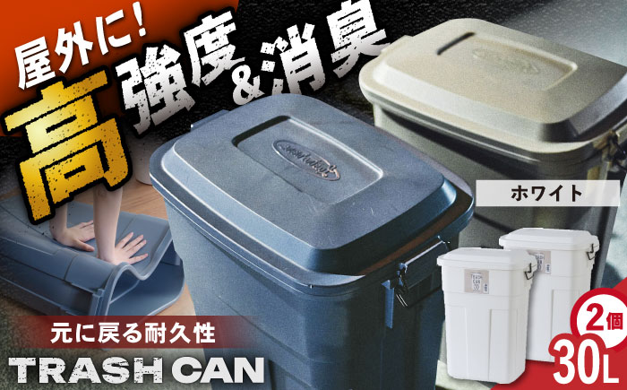 トラッシュカン ゴミ箱 ふた付き 30L ホワイト 2個組 / ダストボックス ゴミ箱 ごみ箱 / 恵那市 / 東谷株式会社 明智流通センター [AUAD069]
