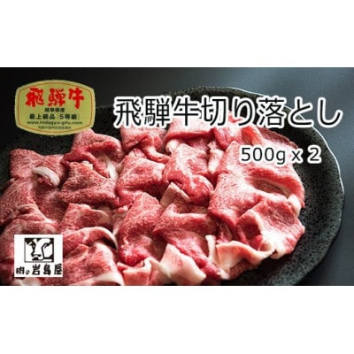 飛騨牛 切り落とし肉 A5ランク 1kg【配送不可地域：離島】【1344018】