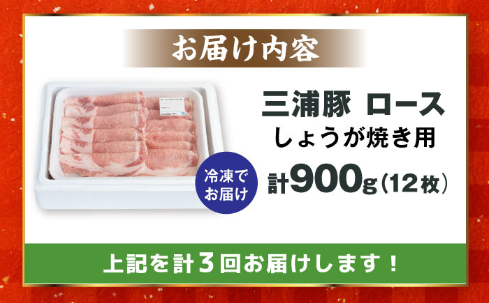 【3回定期便】 三浦豚 豚肉 ロース900ｇ（生姜焼き用）/ ブランド豚 国産 ポーク 生姜焼き 恵那市 / あづま精肉店 [AUDL012]