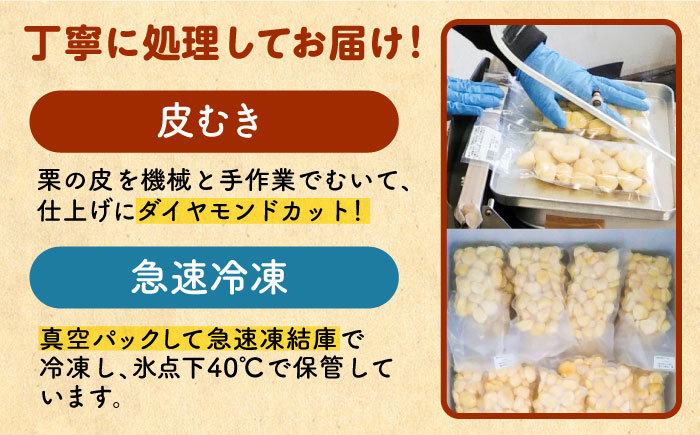 冷凍むき栗「日本栗」 計500g（250g×2P）/ 栗 くり 日本栗 むき栗 岐阜 恵那 / 恵那市 / えな笠置山栗園 [AUAV005]