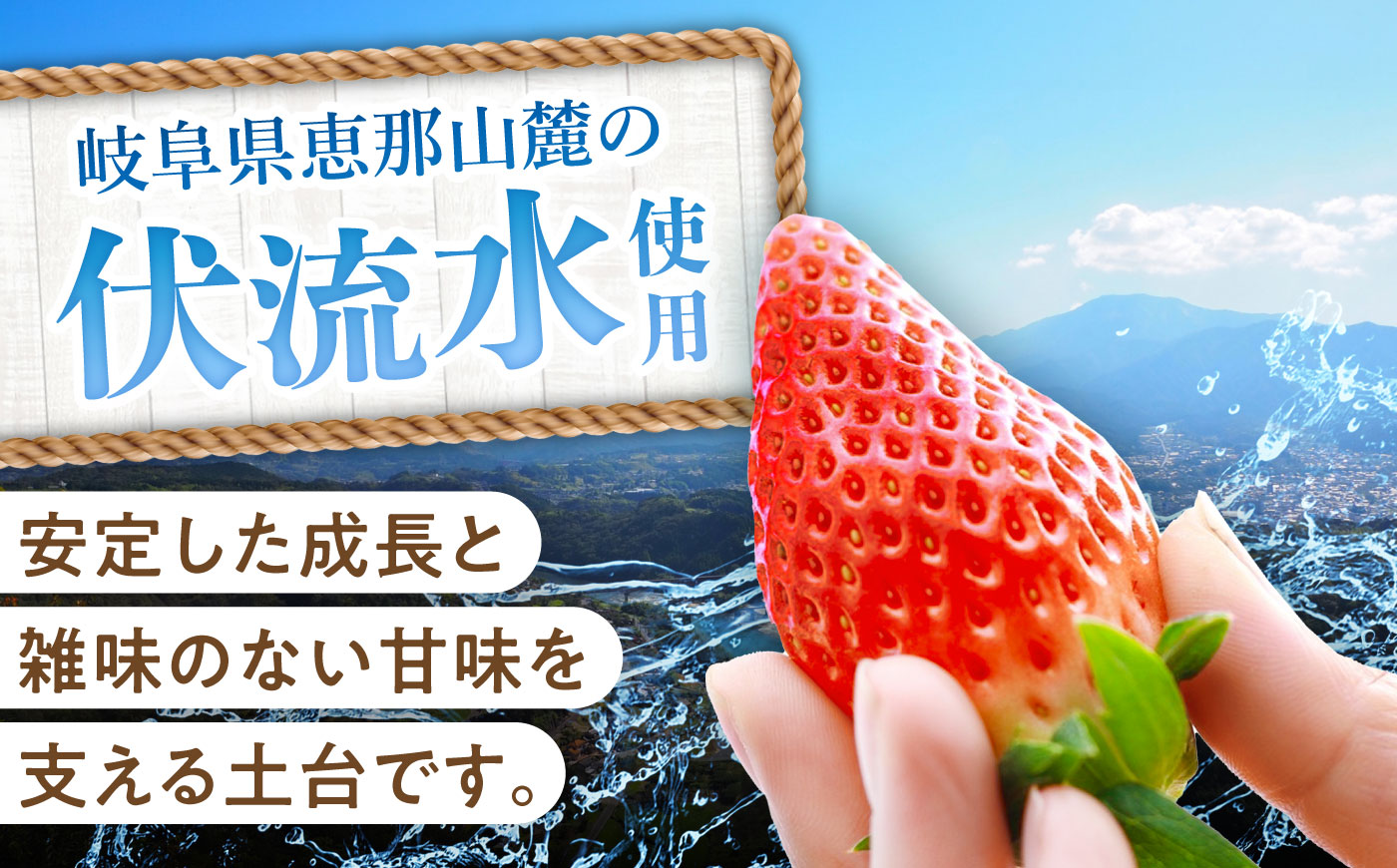 【先行予約・2027年1月上旬から順次発送】 いちご 250g×4パック / いちご 苺 イチゴ 国産 / 恵那市 / 阿部農園 [AUGA003]