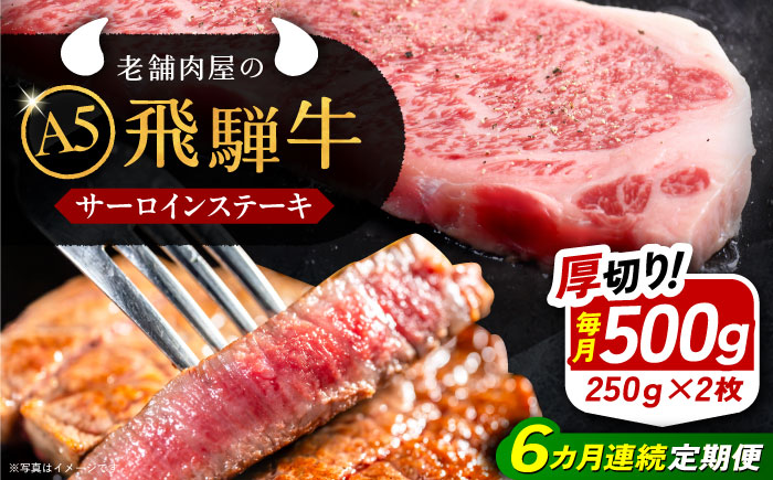 【6回定期便】 飛騨牛 サーロインステーキ (A5ランク) 250g×2枚 和牛 国産 霜降り 恵那市 / 岩島屋 [AUAJ028]