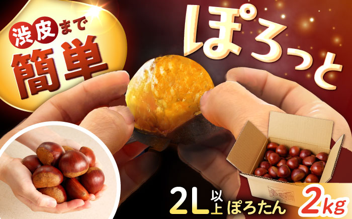 ＼間もなく受付終了！／岐阜県産栗「東美濃ぽろたん」 2kg / 栗 くり 栗きんとん / 東美濃農業協同組合 [AUDS001]