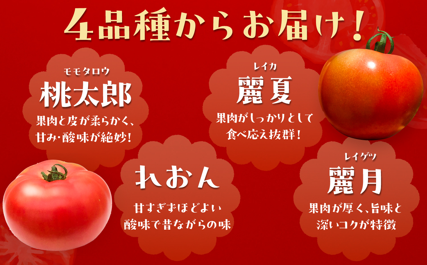 【2週間以内に発送！】【10月中旬まで受付】  訳あり大玉トマト4kg / 朝採り 甘い 桃太郎 とまと / 恵那市 / クリエイティブファーマーズ [AUAH016]
