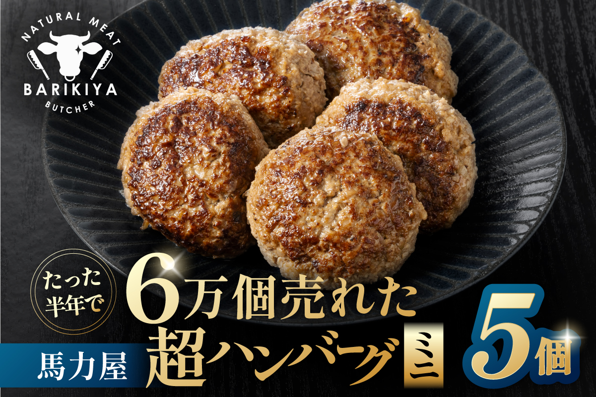 超ハンバーグミニ　5個 【0110-018】牛肉 飛騨牛 黒毛和牛 A5ランク 焼くだけ 簡単 おかず お弁当 おつまみ