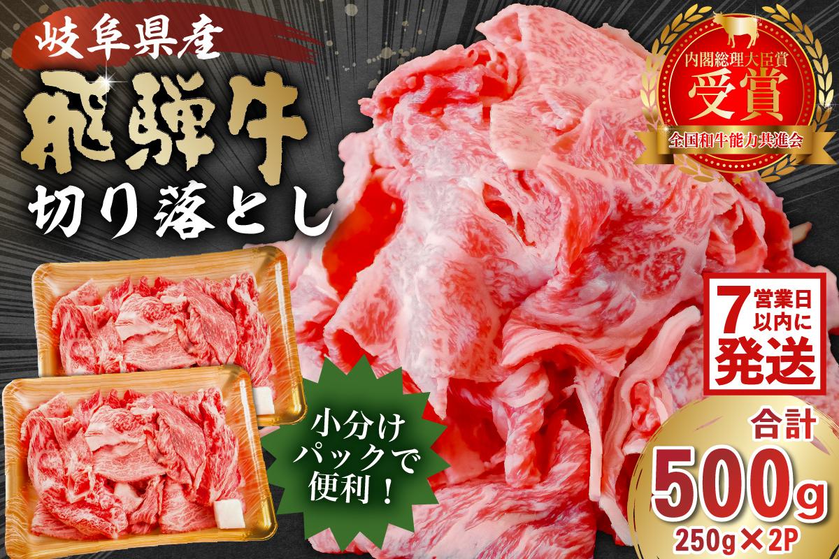飛騨牛切り落とし500g(250g×2) 0016-017-1w [ 牛肉 カレー シチュー 牛丼 肉じゃが 牛しぐれ煮 牛すき煮 炒め物 肉 国産 和牛 ブランド牛 ブランド 小分け パック セット 国産牛 お肉 ロース 赤身 バラ 冷凍 ]