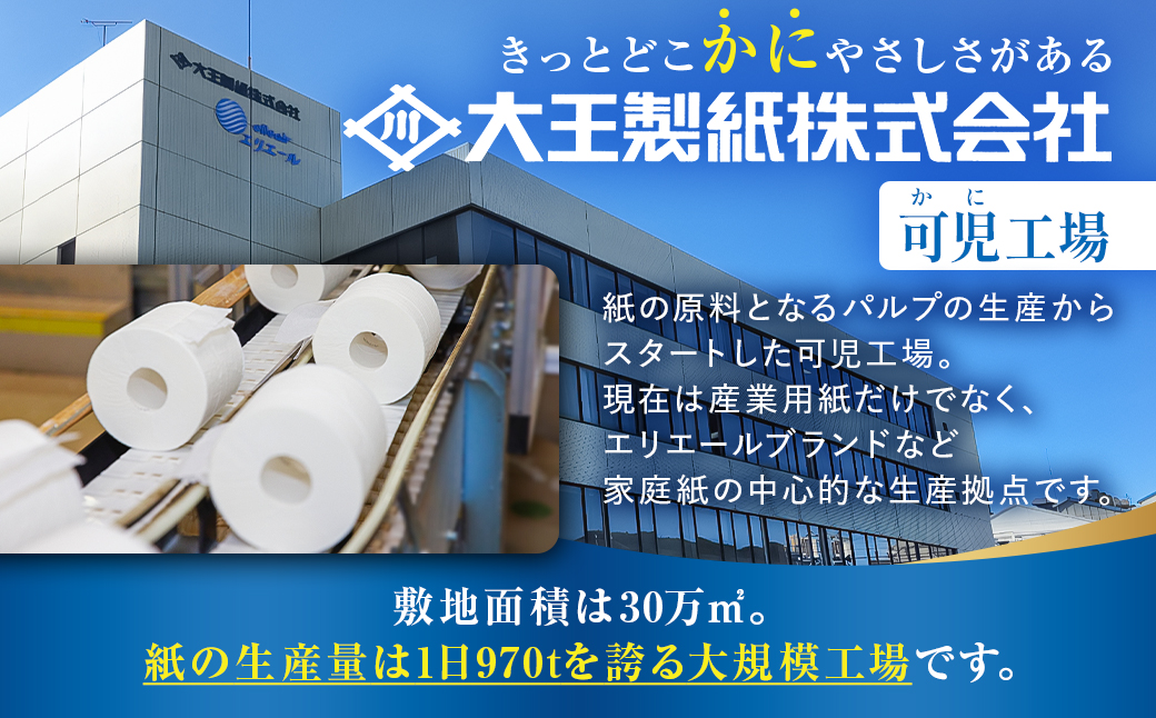エリエールトイレットティシュー 12Rシングル（12ロール×6パック） トイレットペーパー 香り付き 55m巻 日用品 トイレ 新生活 備蓄 防災 消耗品 生活雑貨 生活用品 ストック パルプ100％ 岐阜県 可児市 0095-003