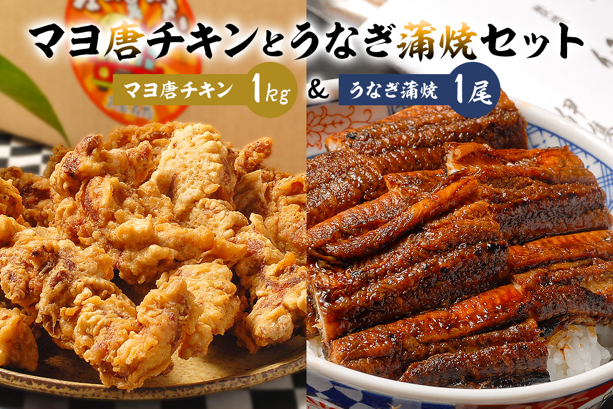 「マヨ唐チキン」と「炭かおる地焼き　うなぎ蒲焼（たれ付）」のセット　0021-013