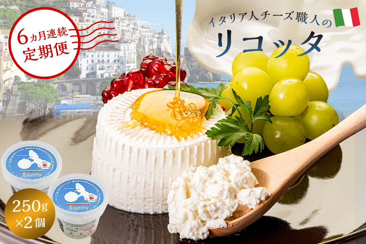 【定期便】リコッタ Ricotta 250g 2個セット(6カ月連続お届け)　0073-050