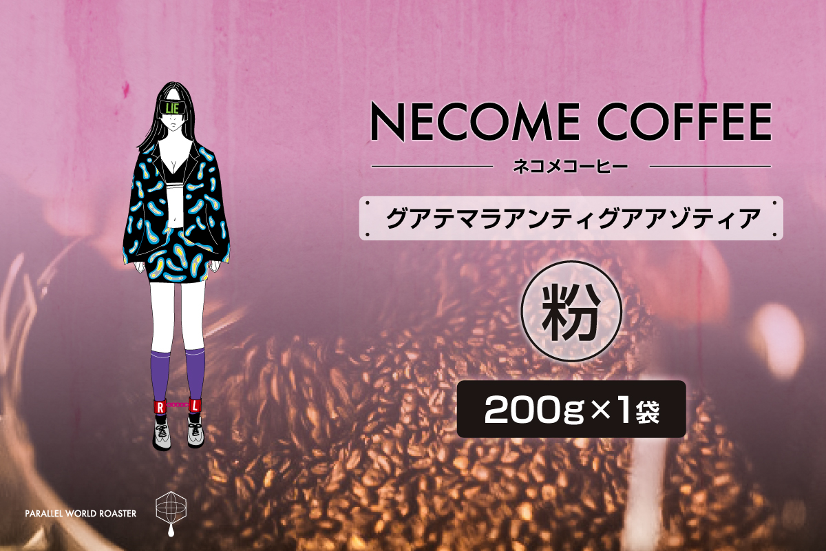 グアテマラアンティグアアゾティア(粉)　0097-016-2【コーヒー 粉 飲料 レギュラーコーヒー 焙煎 珈琲 グアテマラ】