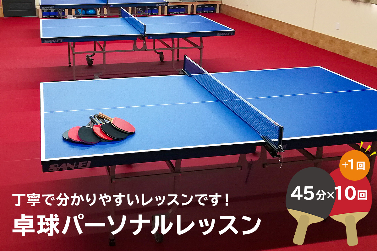 卓球パーソナルレッスン（45分×11回）　0075-003