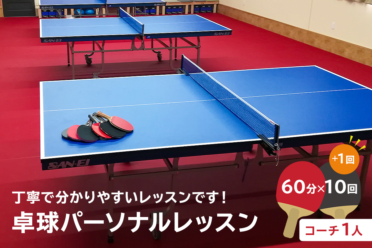卓球パーソナルレッスン（60分×11回）コーチ１人　0075-004