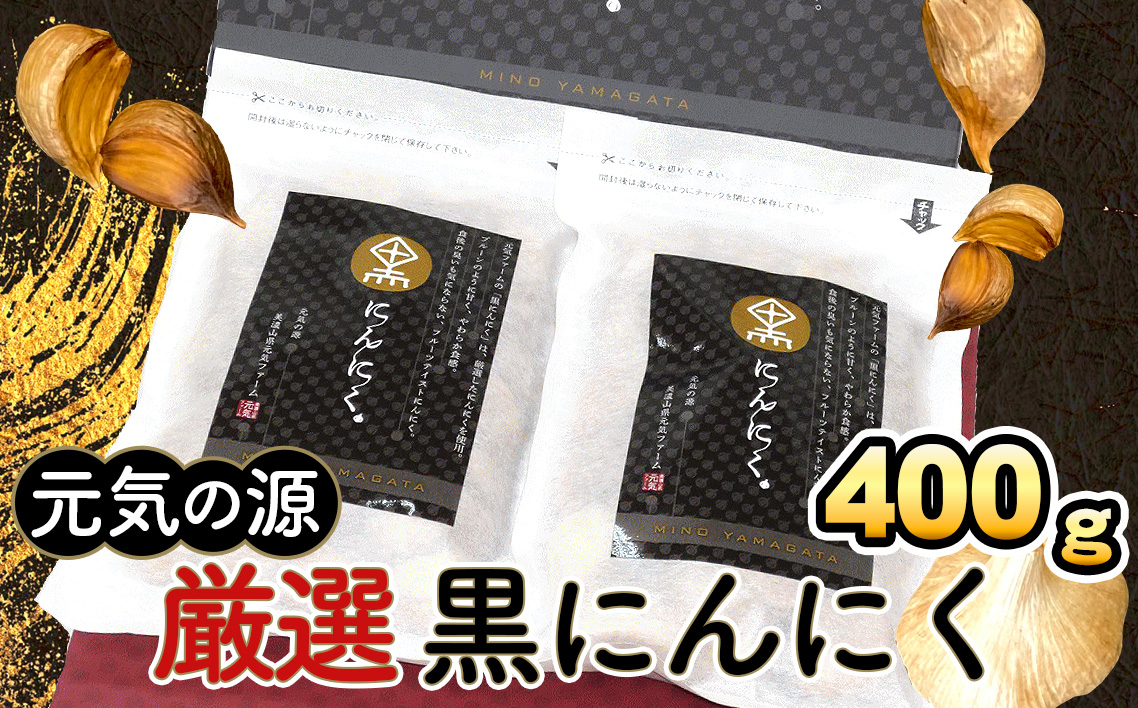 元気の源　厳選黒にんにく計400g [No.047]