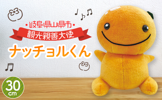 ナッチョルくんぬいぐるみ30cm [No.382]