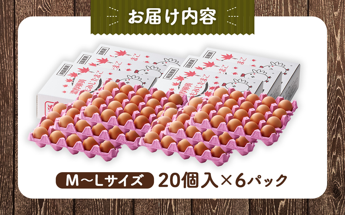 【山田養鶏】濃厚卵黄もみじたまご【120個入り】 [No.190]