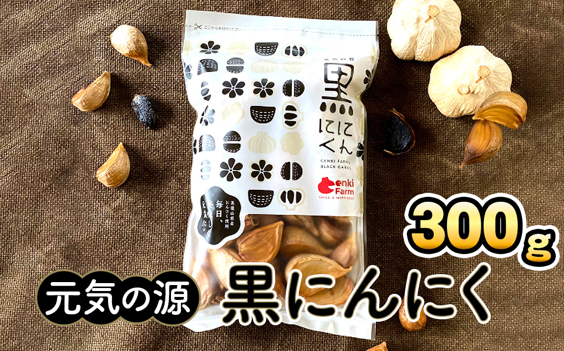 元気の源　黒にんにく　300g [No.499]