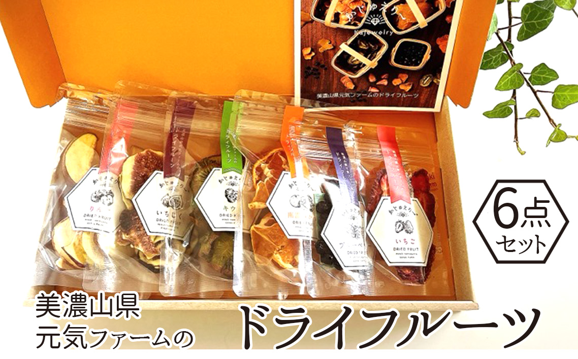 美濃山県元気ファームのドライフルーツかじゅえりー6点セット [No.140]