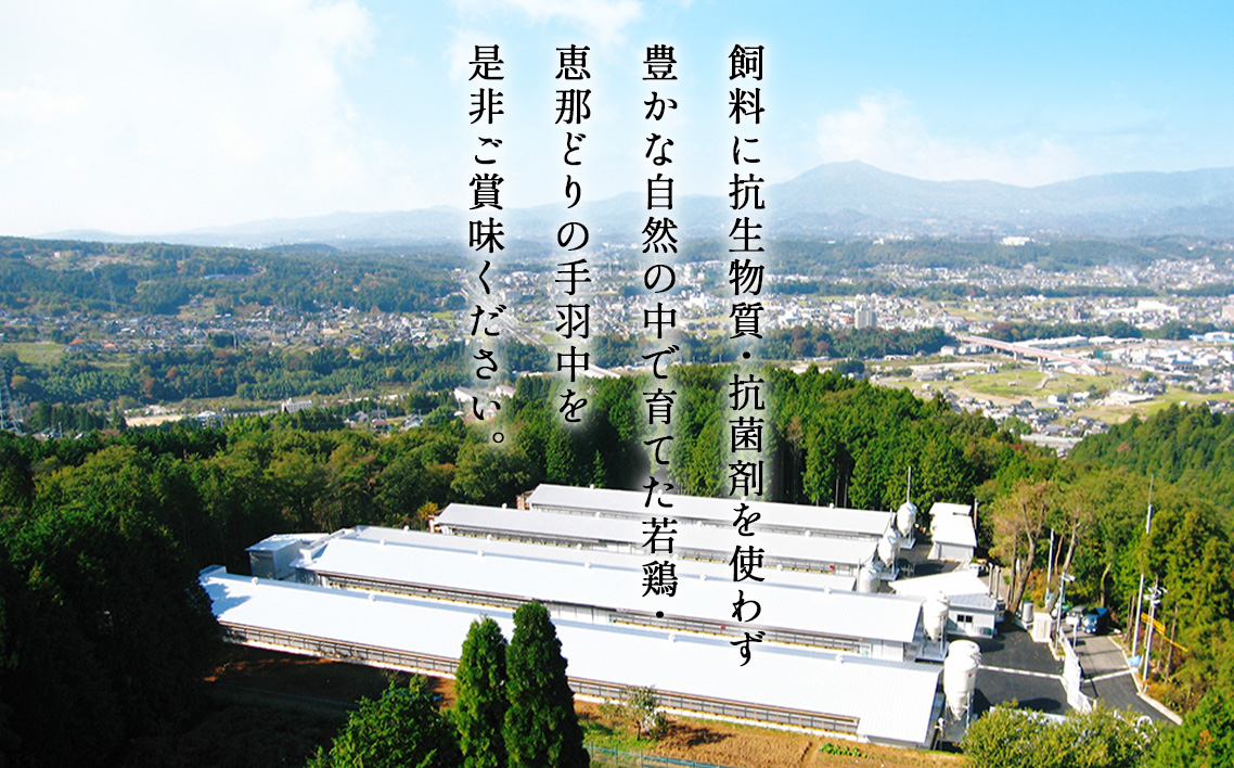 冷凍　恵那どり　手羽中　バラ凍　1kg [No.918]