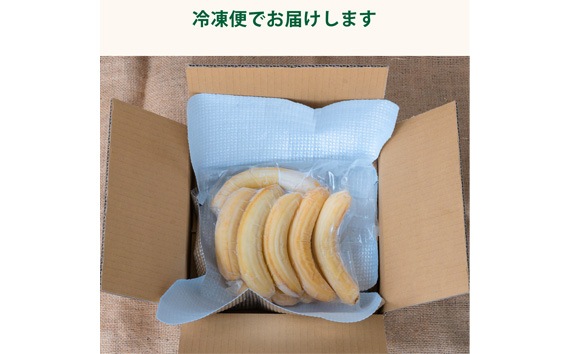 国産冷凍 カットバナナ  1kg 4パック [No.503]