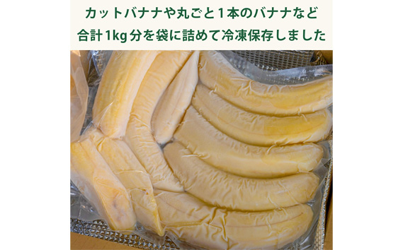 国産冷凍 カットバナナ  1kg 4パック [No.503]