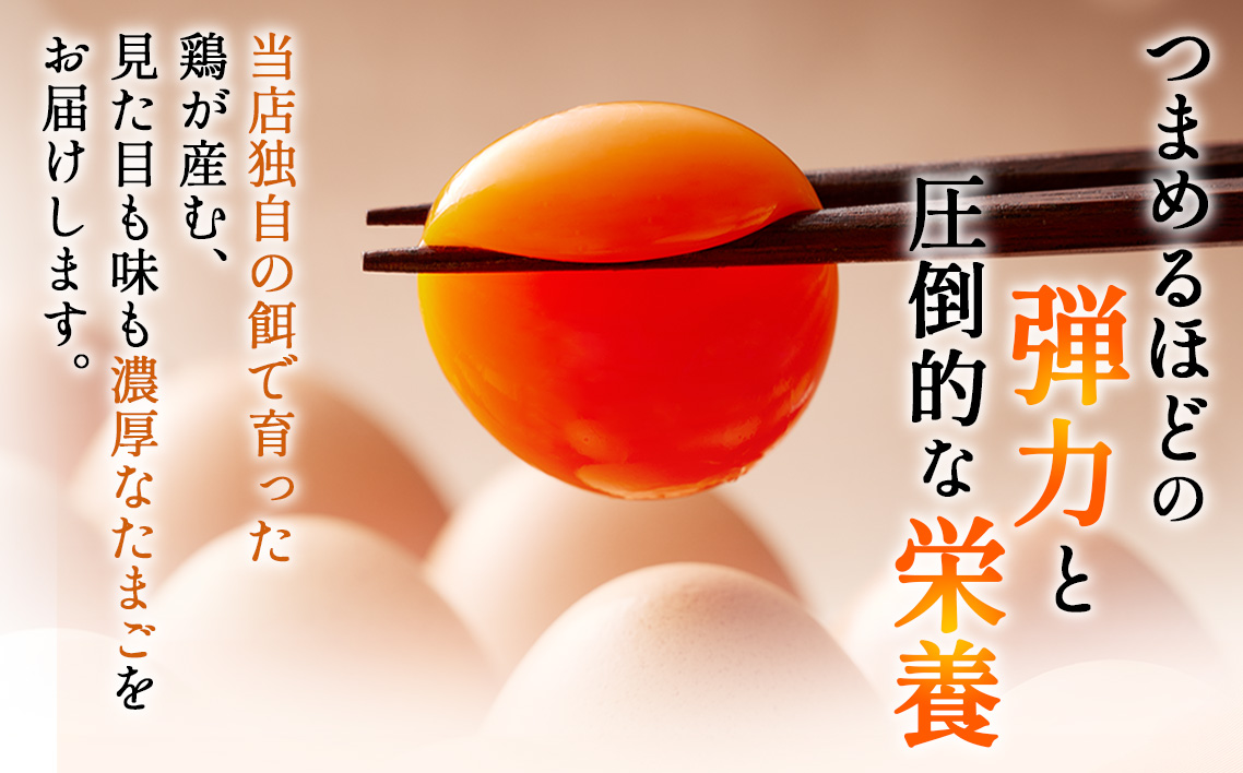 【山田養鶏】濃厚卵黄もみじたまご【120個入り】 [No.190]