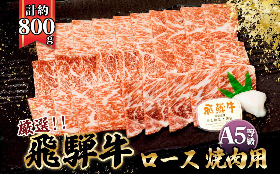 店主こだわり雌牛 飛騨牛A5等級　ロース　焼肉用　約800g [No.065]
