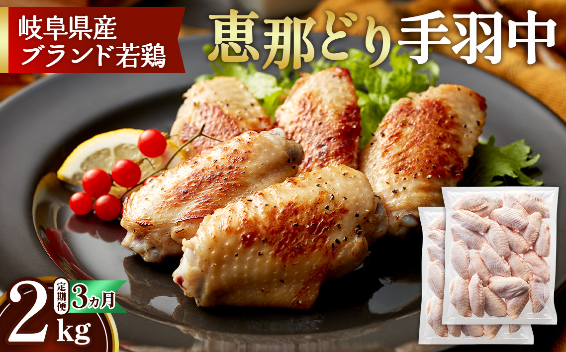 【毎月定期便（3ヵ月）】恵那どり　手羽中　冷凍　バラ凍【2kg】 [No.1137]