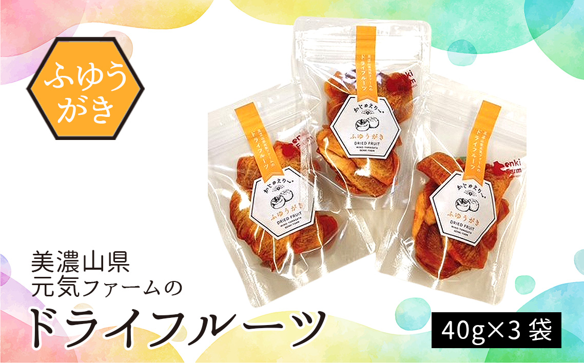 美濃山県元気ファームのドライフルーツかじゅえりー　ふゆうがき [No.1100]