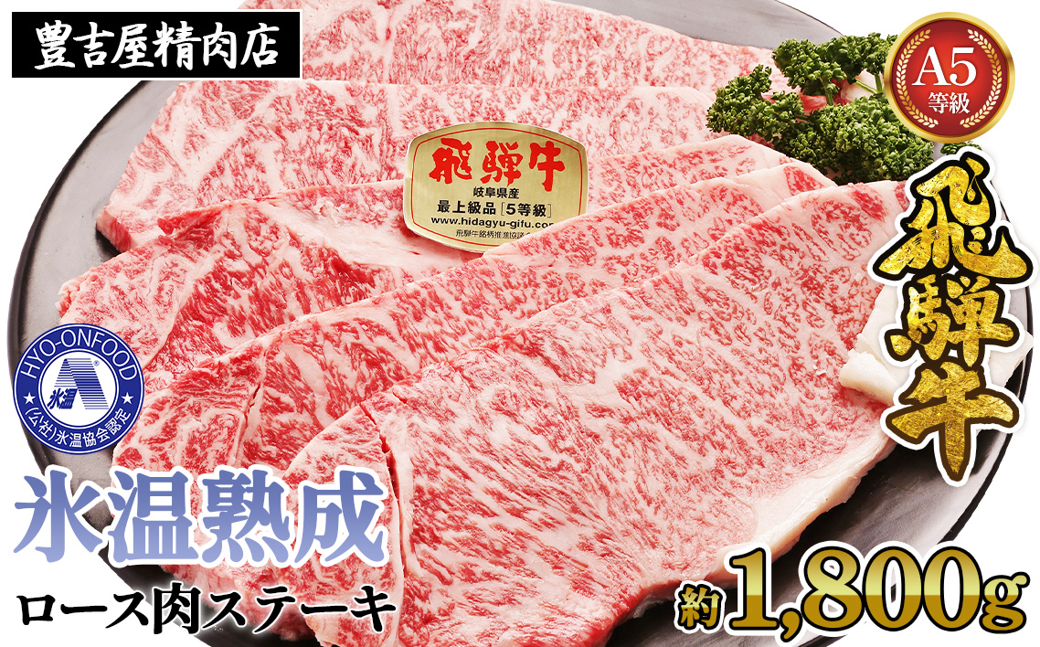 ロース肉ステーキ 10枚（約1800g）　氷温(R)熟成　飛騨牛Ａ５等級 リキッドフリーズ　