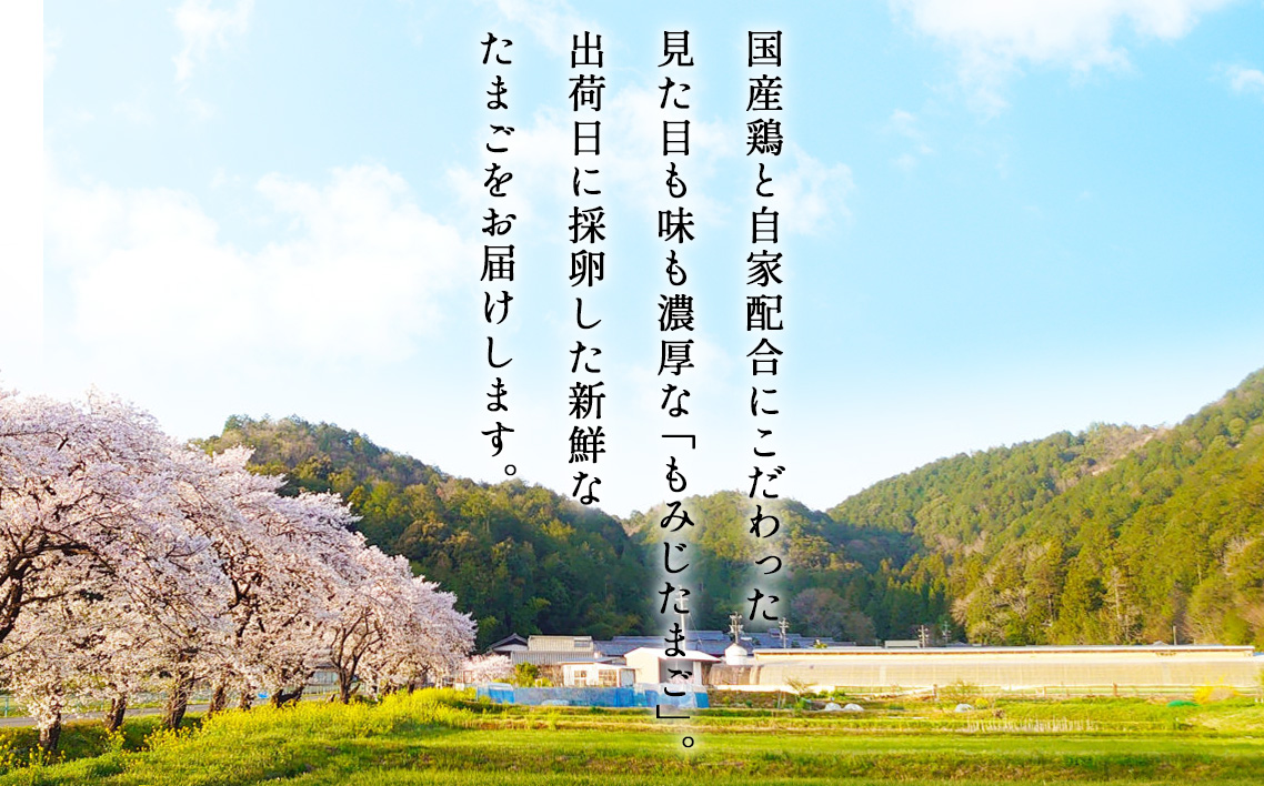 【山田養鶏】濃厚卵黄もみじたまご【120個入り】 [No.190]