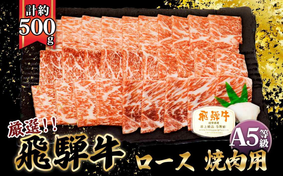 店主こだわり雌牛 飛騨牛A5等級　ロース　焼肉用　約500g [No.038]