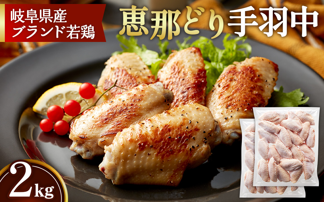 冷凍　恵那どり　手羽中　バラ凍　2kg [No.923]