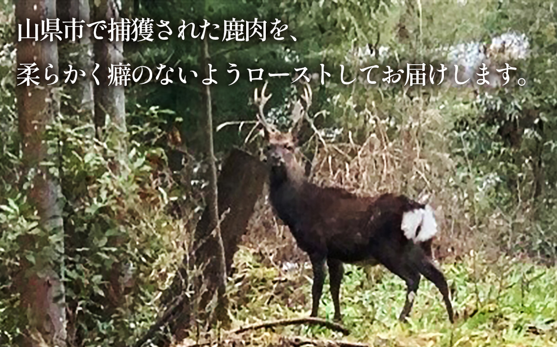 鹿肉ロースト　200g [No.1130]