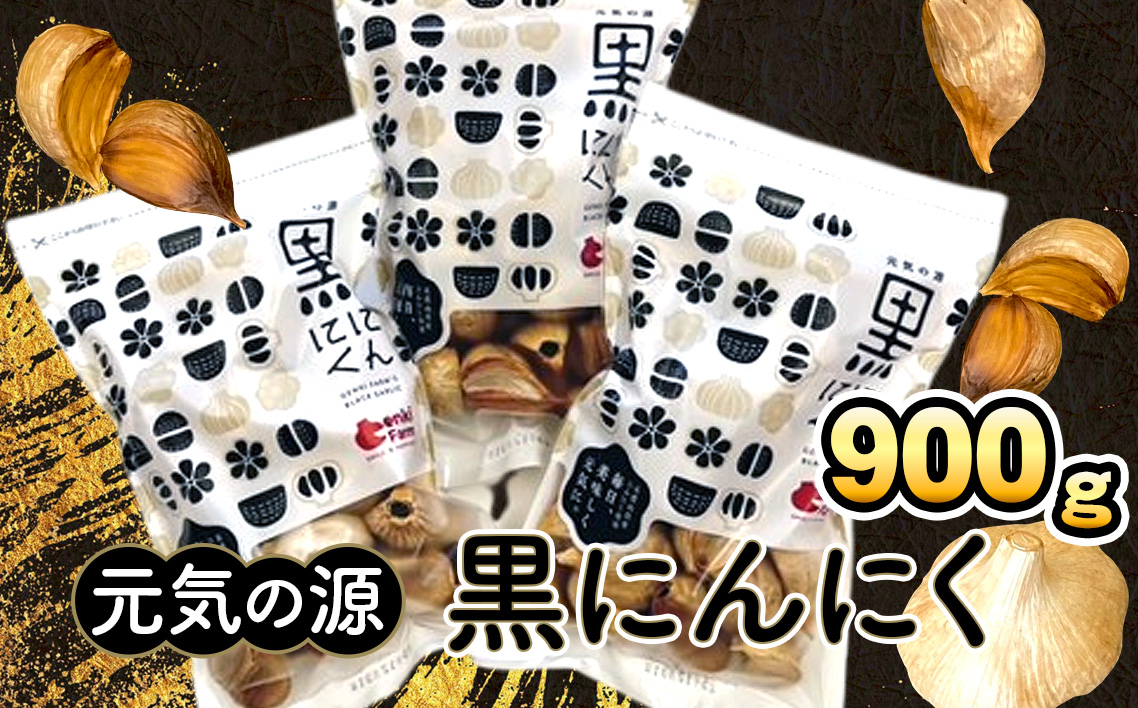元気の源　黒にんにく　900g [No.502]