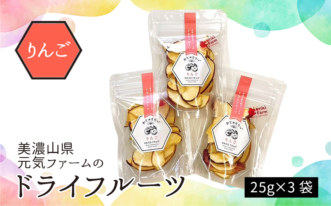 美濃山県元気ファームのドライフルーツかじゅえりー　りんご [No.1105]