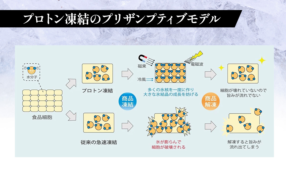 約800g肩ロース肉すき焼き【令和8年1月下旬より順次発送】　氷温（R）熟成　飛騨牛A5等級 プロトン凍結 [No.527]